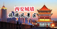 熟荡中国陕西-西安城墙旅游风景区