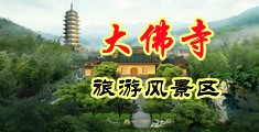 大黑吊插日本逼中国浙江-新昌大佛寺旅游风景区
